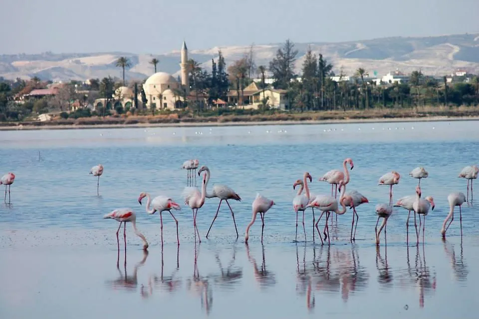 The White House Villa Larnaca